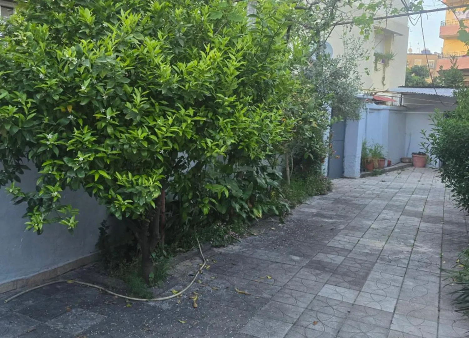 Joel House Tirana Daire Arnavutluk